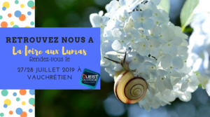 Foire aux lumas 2019 (002)